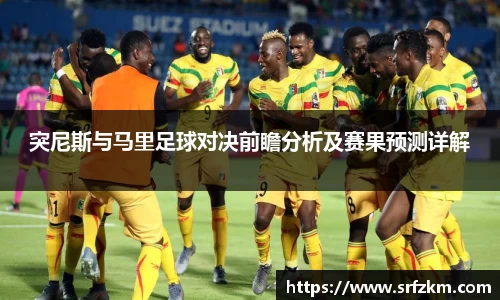 突尼斯与马里足球对决前瞻分析及赛果预测详解